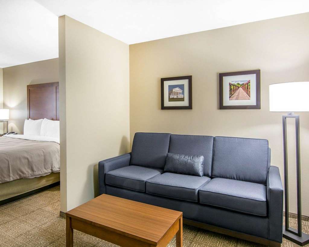Comfort Inn South Chesterfield - Colonial Heights Pokoj fotografie