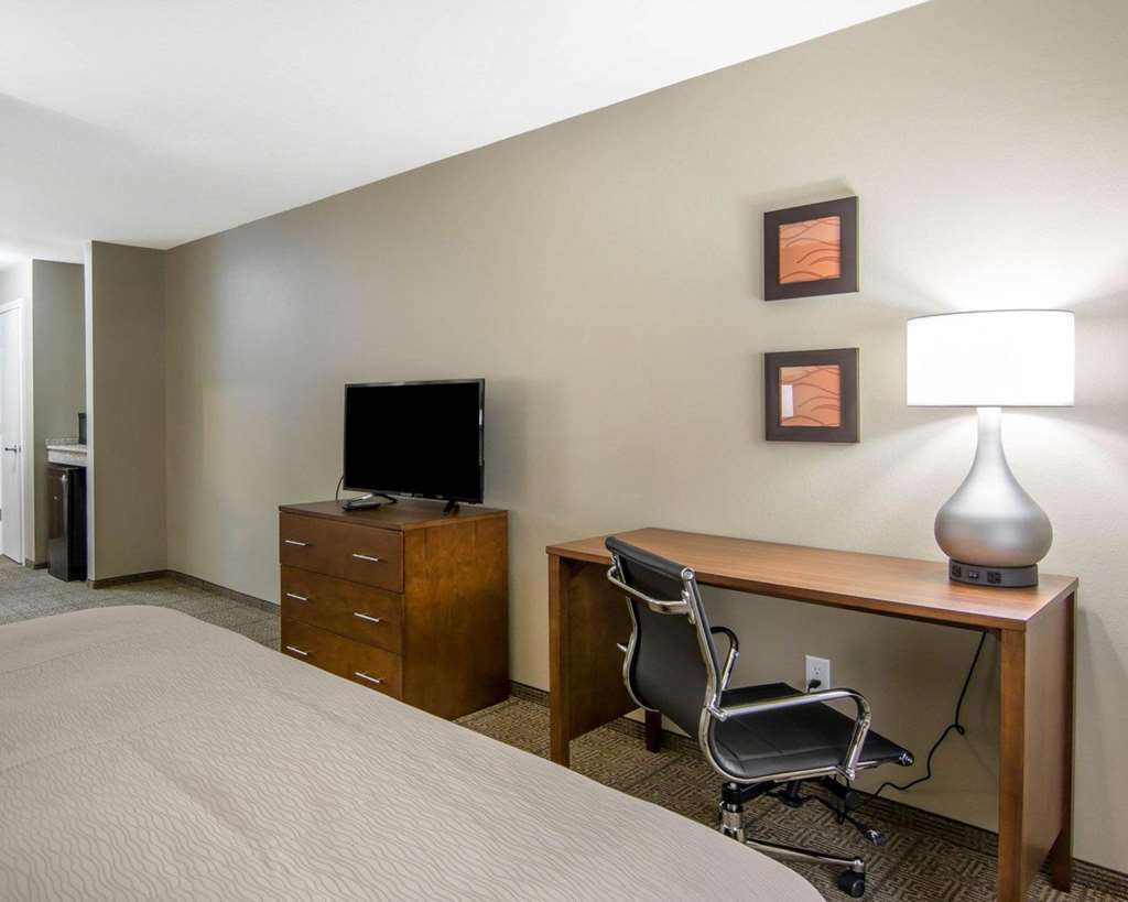 Comfort Inn South Chesterfield - Colonial Heights Pokoj fotografie
